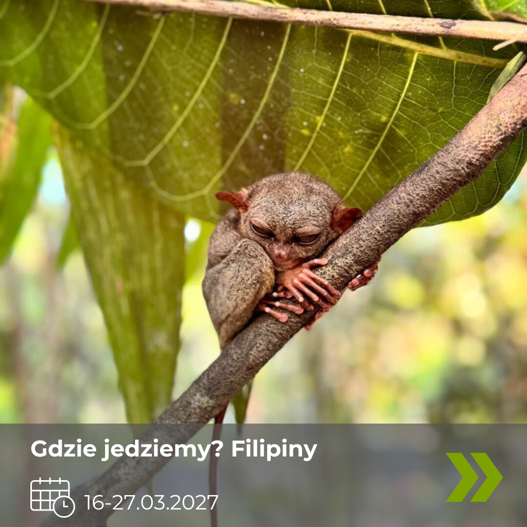 Filipiny