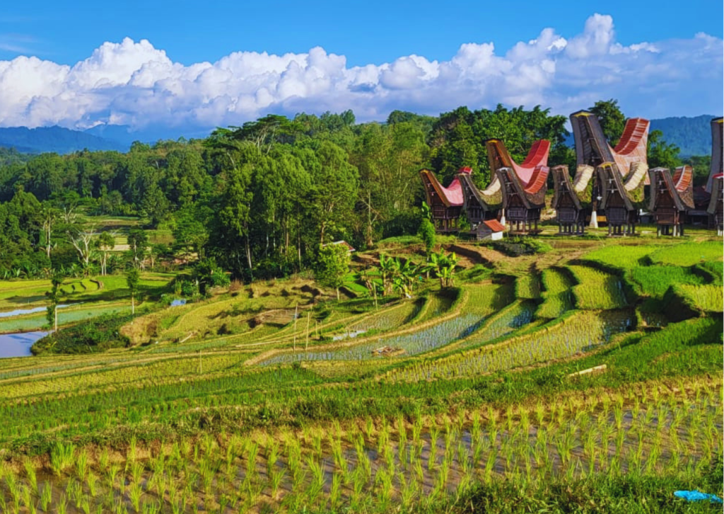 Tana Toraja