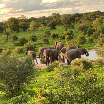 Wyprawa Botswana