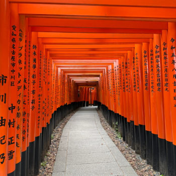 Wyprawa Japonia