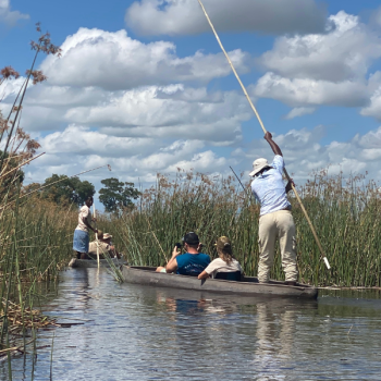 Delta Okavango