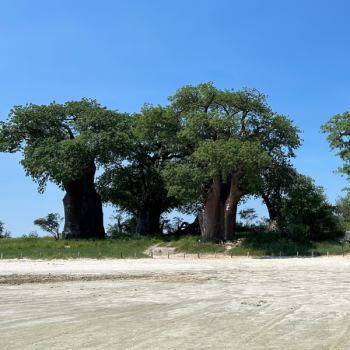 Wyprawa Botswana