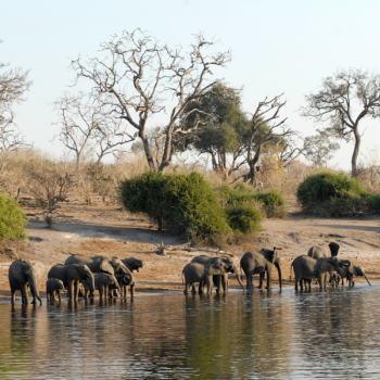 Wyprawa Botswana