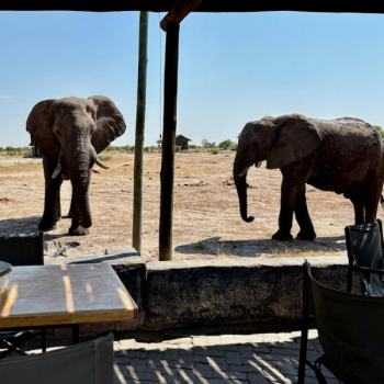 Wyprawa Botswana