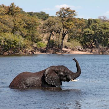 Botswana