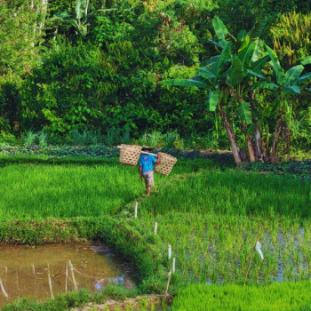 Tana Toraja