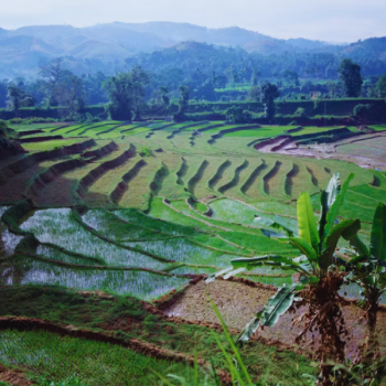 Tana Toraja