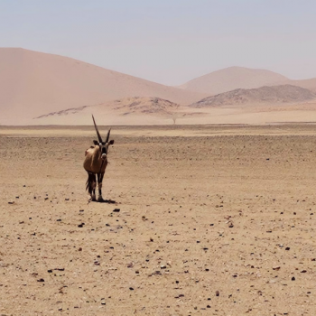 Namibia
