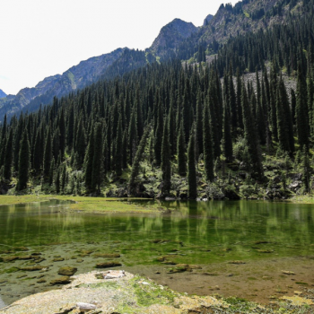 Kirgistan i Kazachstan