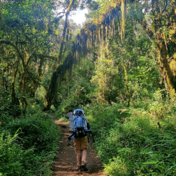 Trekking Kilimandżaro